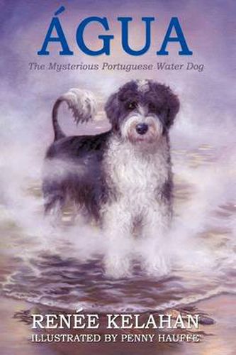 Cover image for Agua, the Mysterious Portuguese Water Dog