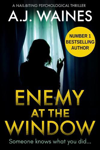 Cover image for Enemy At The Window