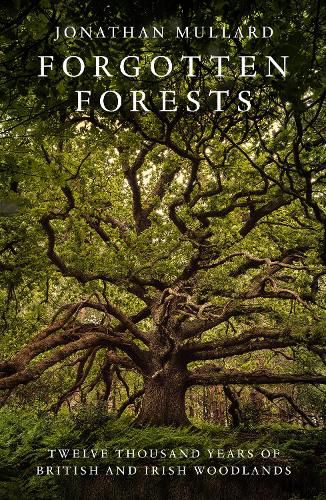 Cover image for Forgotten Forests