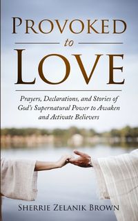 Cover image for Provoked to Love