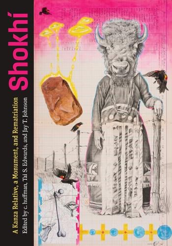 Cover image for Shokhi