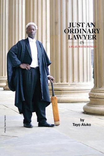 Cover image for Just an Ordinary Lawyer
