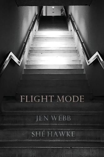 Cover image for Flight Mode