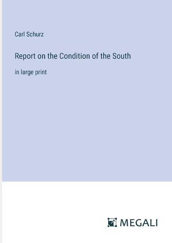 Cover image for Report on the Condition of the South