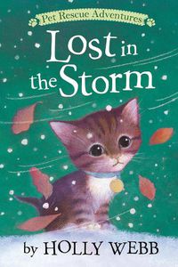 Cover image for Lost in the Storm