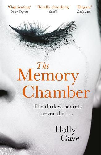 Cover image for The Memory Chamber