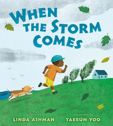 Cover image for When the Storm Comes