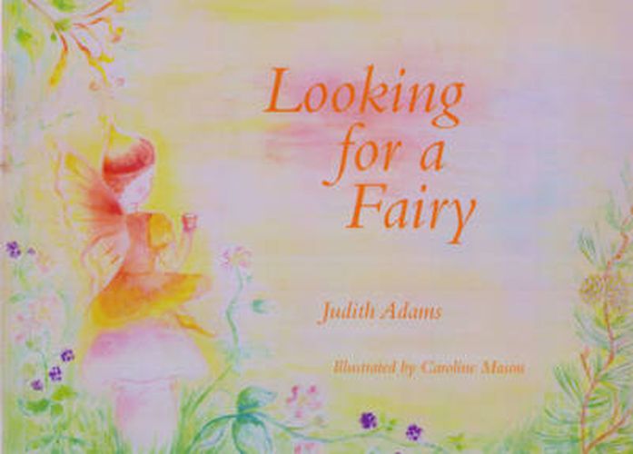 Cover image for Looking for a Fairy