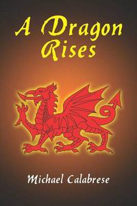 Cover image for A Dragon Rises