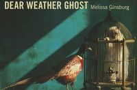 Cover image for Dear Weather Ghost
