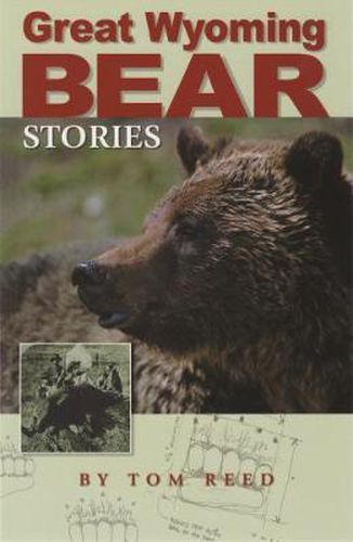 Cover image for Great Wyoming Bear Stories