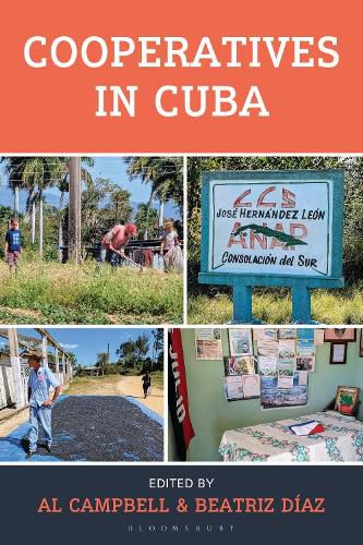 Cover image for Cooperatives in Cuba