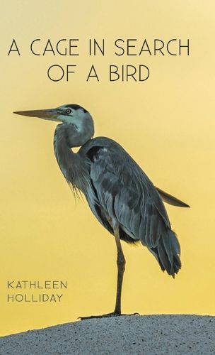 Cover image for A Cage in Search of a Bird