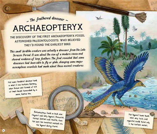 The Fossil Keeper's Treasure