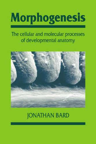 Cover image for Morphogenesis: The Cellular and Molecular Processes of Developmental Anatomy