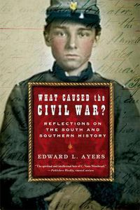 Cover image for What Caused the Civil War?: Reflections on the South and Southern History