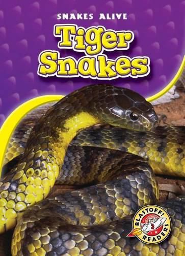 Cover image for Tiger Snakes