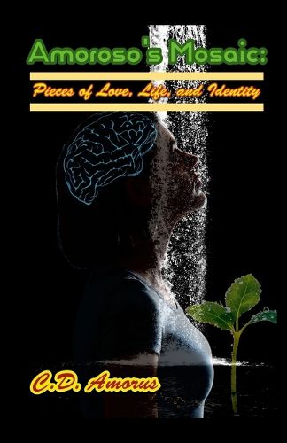 Cover image for Amoroso's Mosaic
