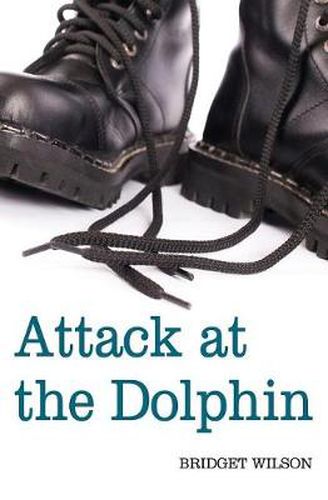 Cover image for Attack at the Dolphin