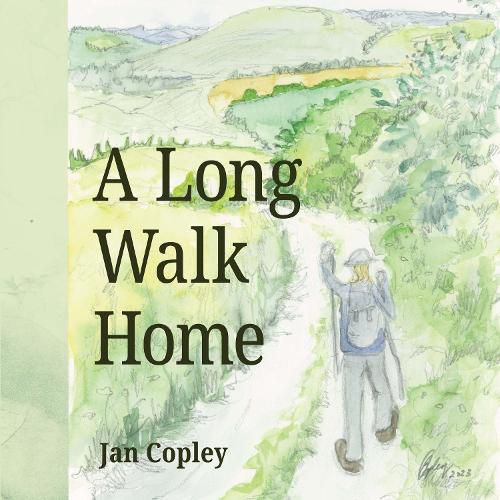 Cover image for A Long Walk Home