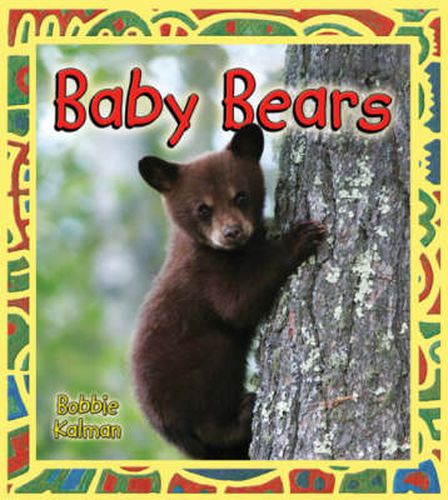 Cover image for Baby Bears