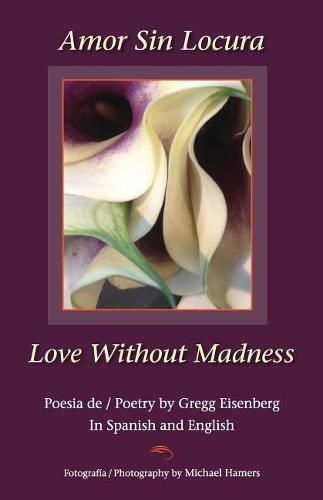 Cover image for Amor Sin Locura Love Without Madness