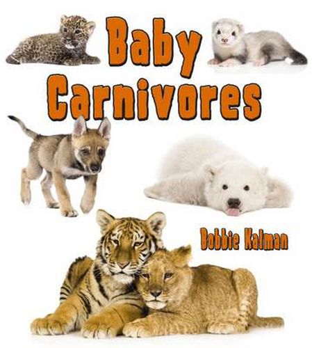 Cover image for Baby Carnivores