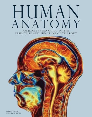 Cover image for Human Anatomy