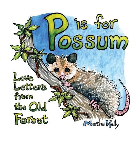 Cover image for P is for Possum: Love Letters from the Old Forest