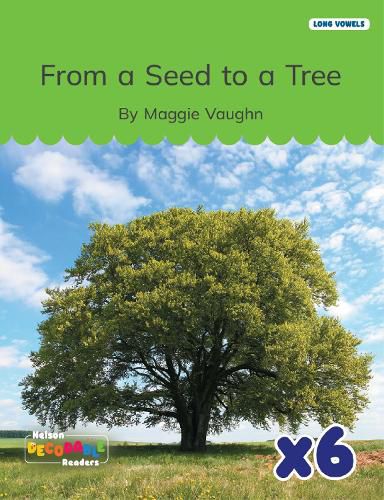 Cover image for From a Seed to a Tree x 6 (Long Vowels Alternative Spellings)
