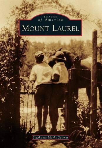 Cover image for Mount Laurel