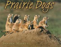 Cover image for Prairie Dogs: Animal Prey
