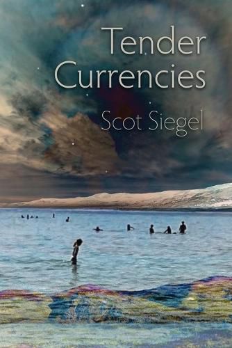 Cover image for Tender Currencies