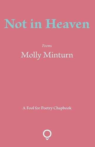 Cover image for Not in Heaven