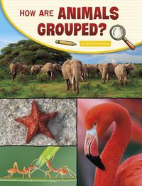 Cover image for How Are Animals Grouped?