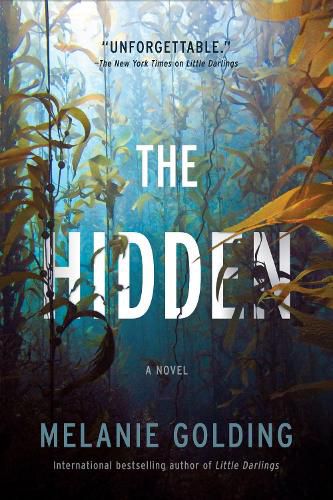 Cover image for The Hidden: A Novel