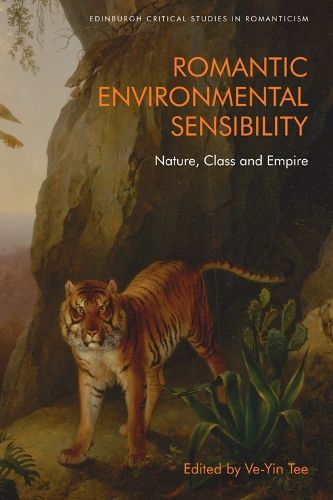 Cover image for Romantic Environmental Sensibility