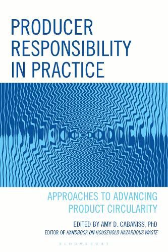 Cover image for Producer Responsibility in Practice