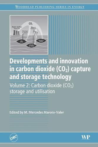 Cover image for Developments and Innovation in Carbon Dioxide (CO2) Capture and Storage Technology: Carbon Dioxide (Co2) Storage and Utilisation