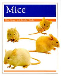 Cover image for Pets: Mice: Individual Student Edition Orange (Levels 15-16)