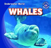 Cover image for Whales