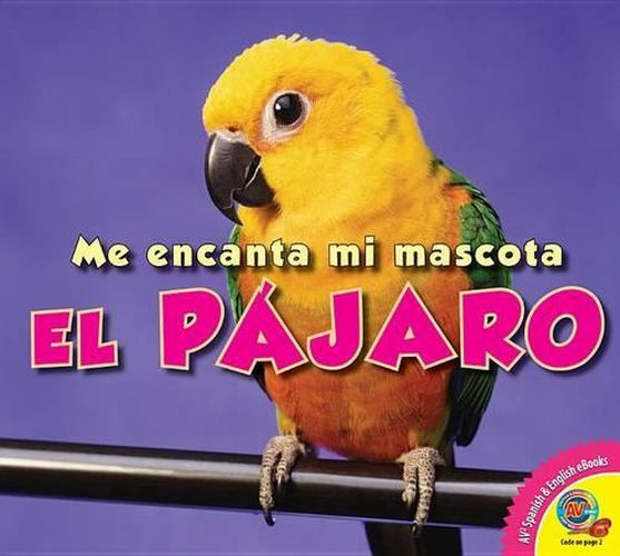 Cover image for El Pajaro