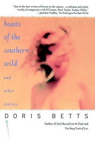 Cover image for Beasts of the Southern Wild  and Other Stories