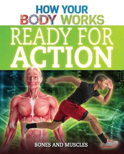 Cover image for Ready for Action: Bones and Muscles