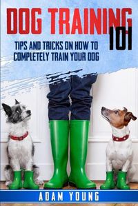 Cover image for Dog Training 101: Tips and Tricks on How to Completely Train Your Dog