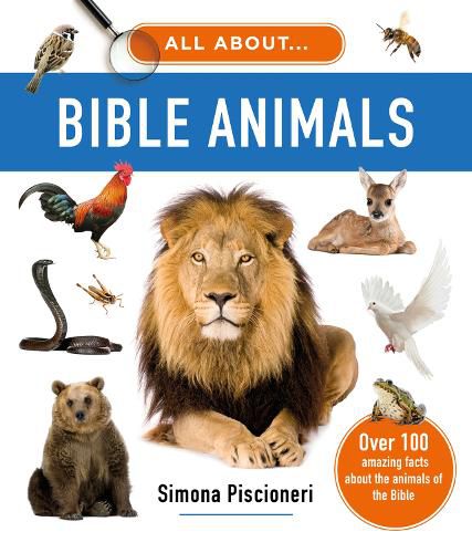 Cover image for All About Bible Animals