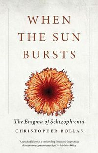 Cover image for When the Sun Bursts: The Enigma of Schizophrenia