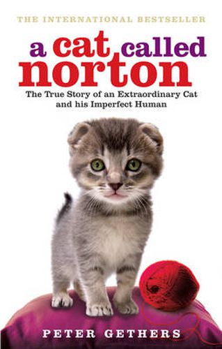 A Cat Called Norton: The True Story of an Extraordinary Cat and His Imperfect Human