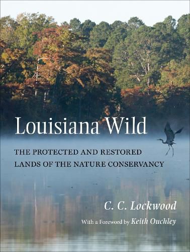 Cover image for Louisiana Wild: The Protected and Restored Lands of The Nature Conservancy