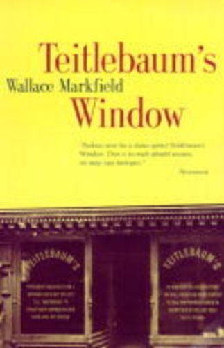 Cover image for Teitlebaum's Window